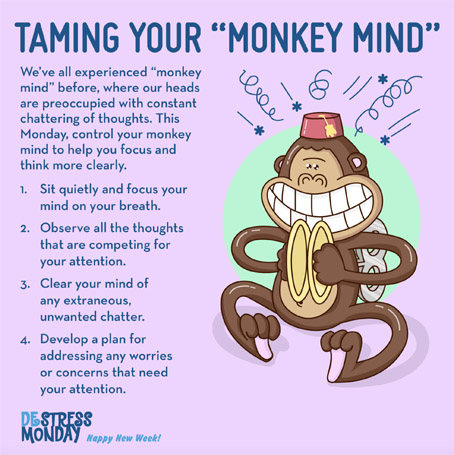 DeStress Monday weekly tips – monkey mind